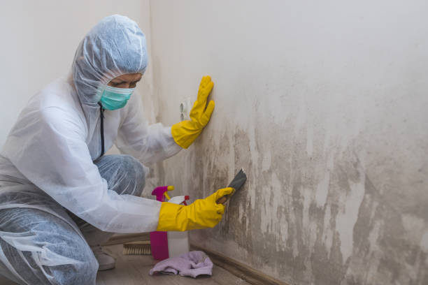 Best Biohazard Mold Removal  in Terre Du Lac, MO
